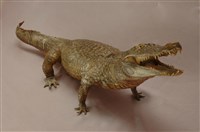 Saltwater Crocodile Collection Image, Figure 12, Total 15 Figures